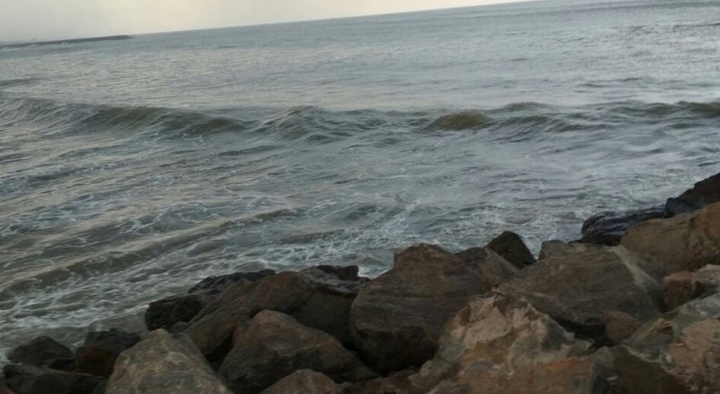 Kasimedu Beach, Tamil Nadu, India